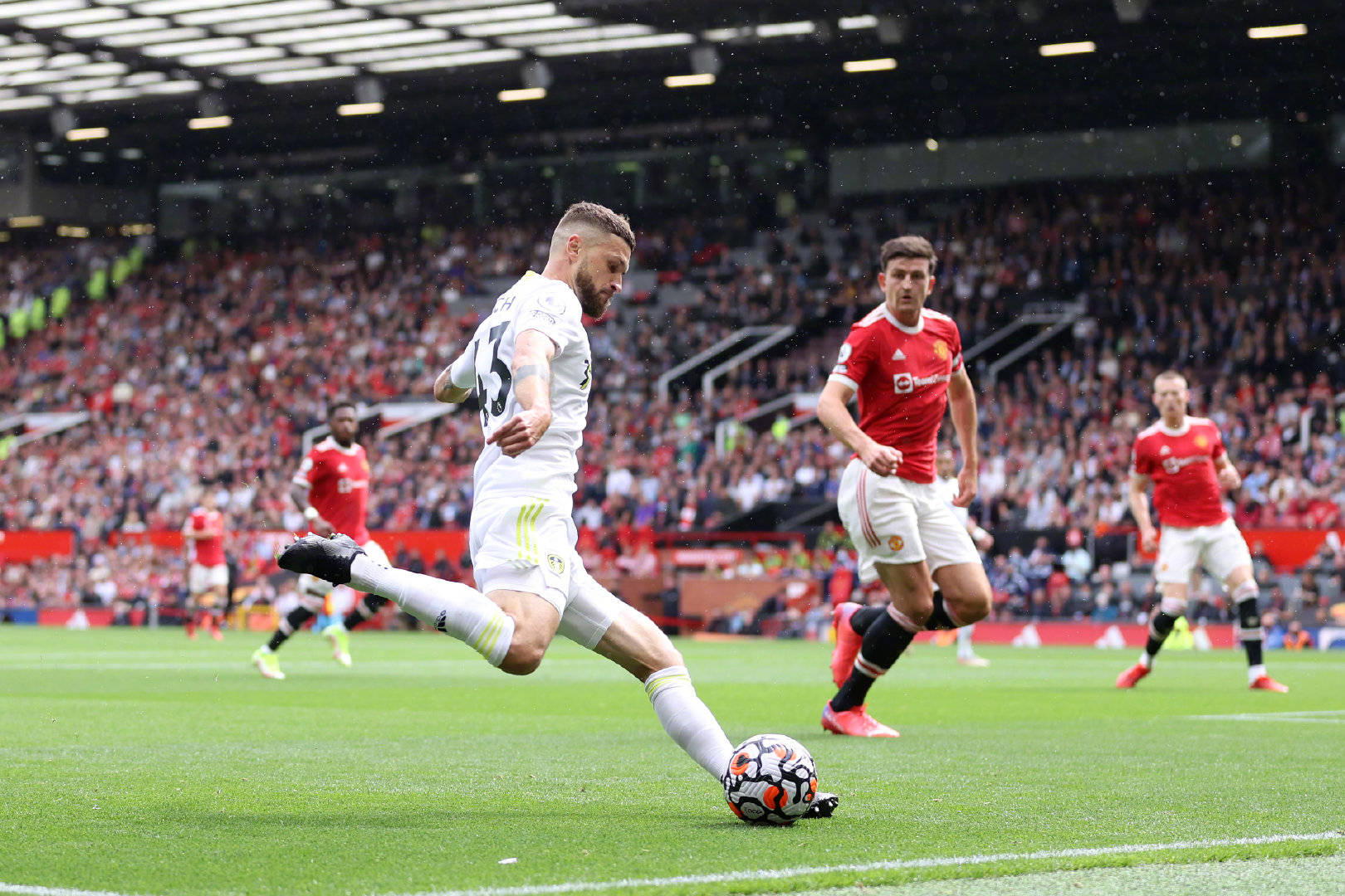 运动在社会 运动在社会