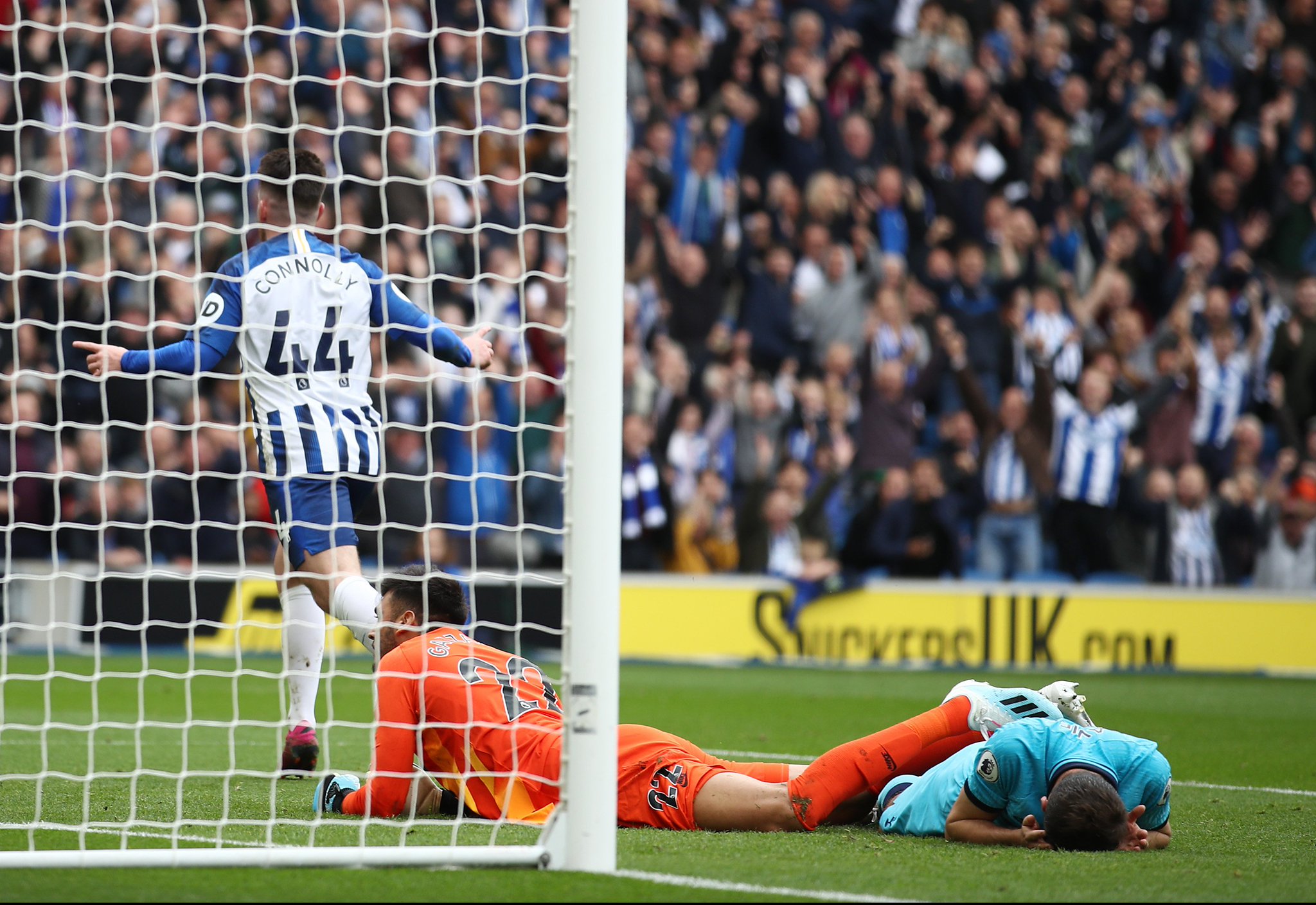 的高度职业 的高度职业